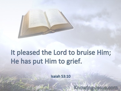 It pleased the Lord to bruise Him; He has put Him to grief.